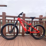 ICANPI Full Carbon Racing Gravel Electric Bicycles with UDH